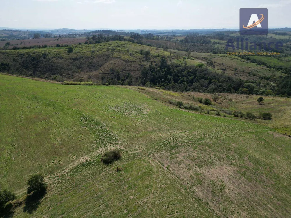 Terreno, 91 hectares - Foto 15