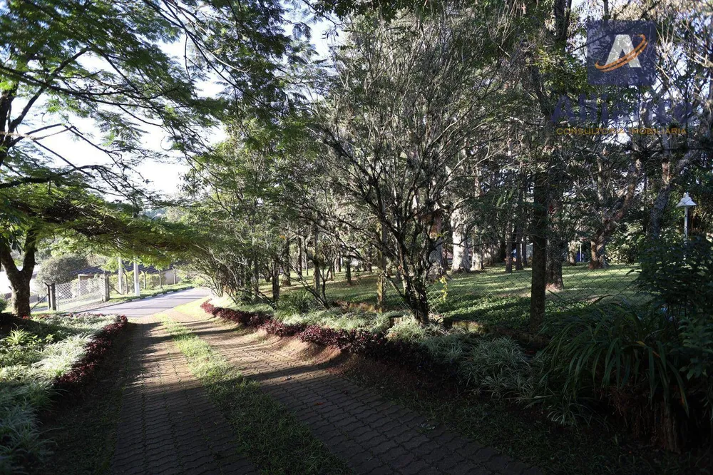 Chácara, 4 quartos, 2 hectares - Foto 6