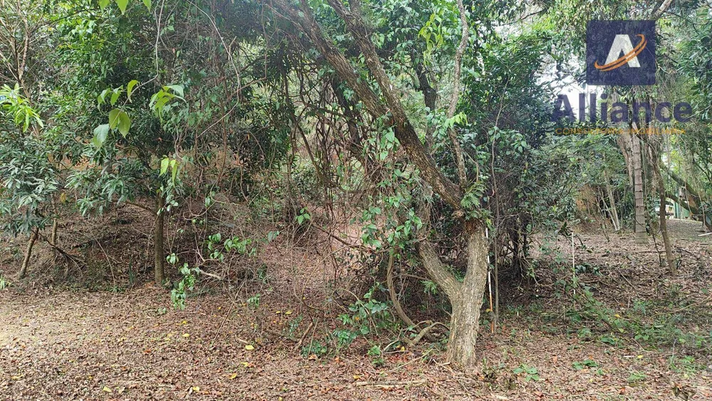 Chácara, 1000 m² - Foto 9