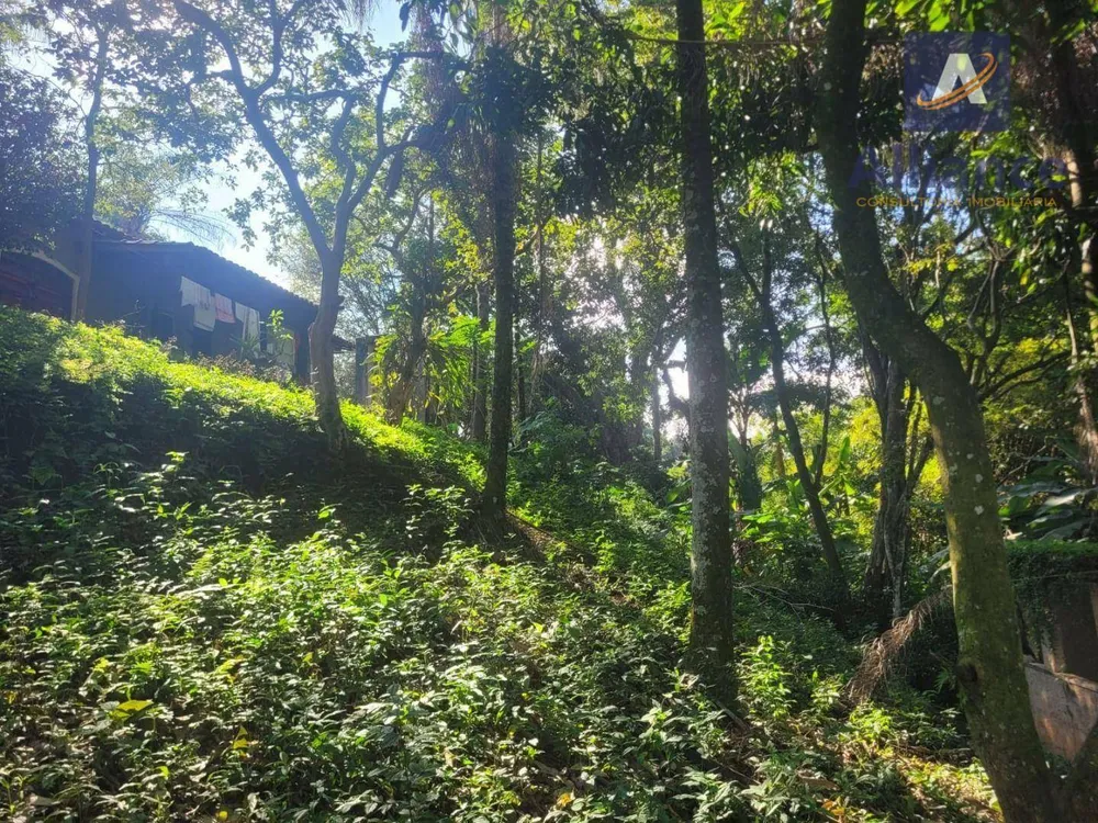 Chácara, 2 quartos, 5000 m² - Foto 9