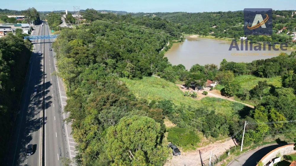 Terreno, 3 hectares - Foto 6