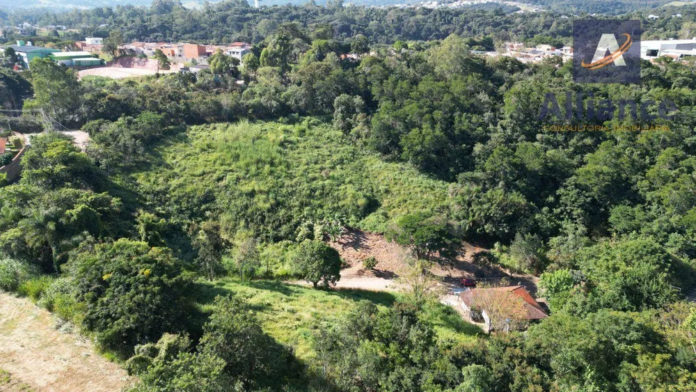Terreno, 3 hectares - Foto 7