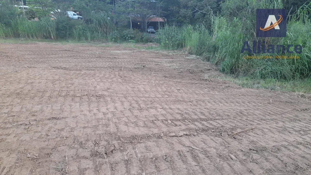 Terreno, 1 hectares - Foto 6