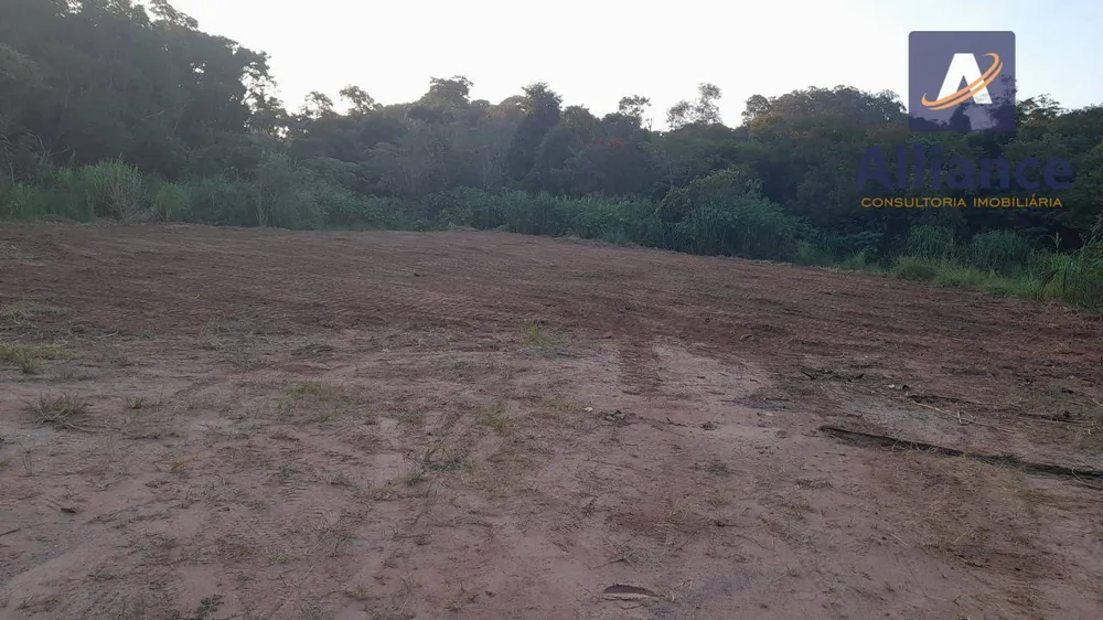 Terreno, 1 hectares - Foto 5
