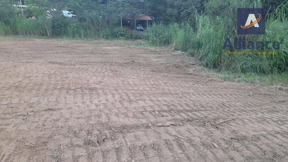 Terreno, 1 hectares - Foto 4