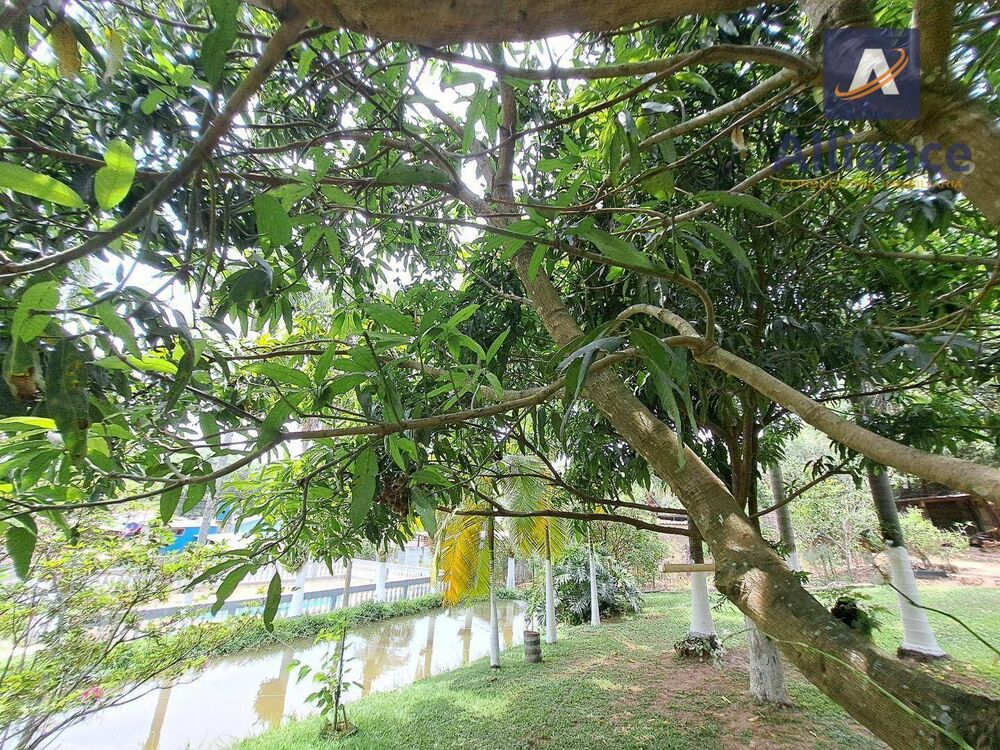 Chácara, 2 quartos, 2399 m² - Foto 2