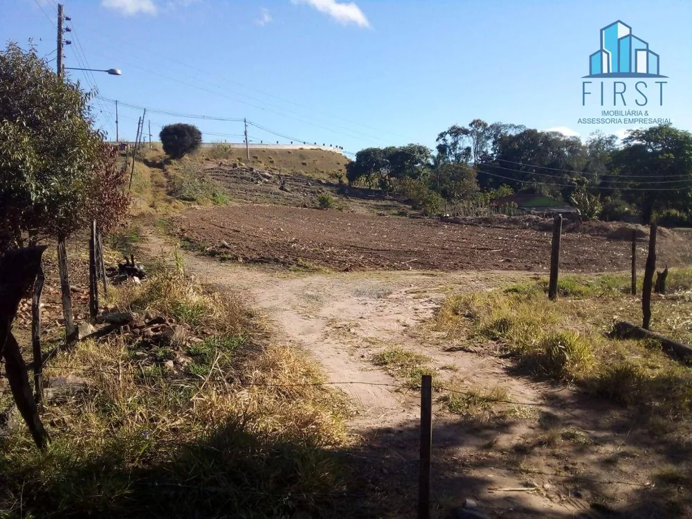 Terreno, 12 hectares - Foto 5