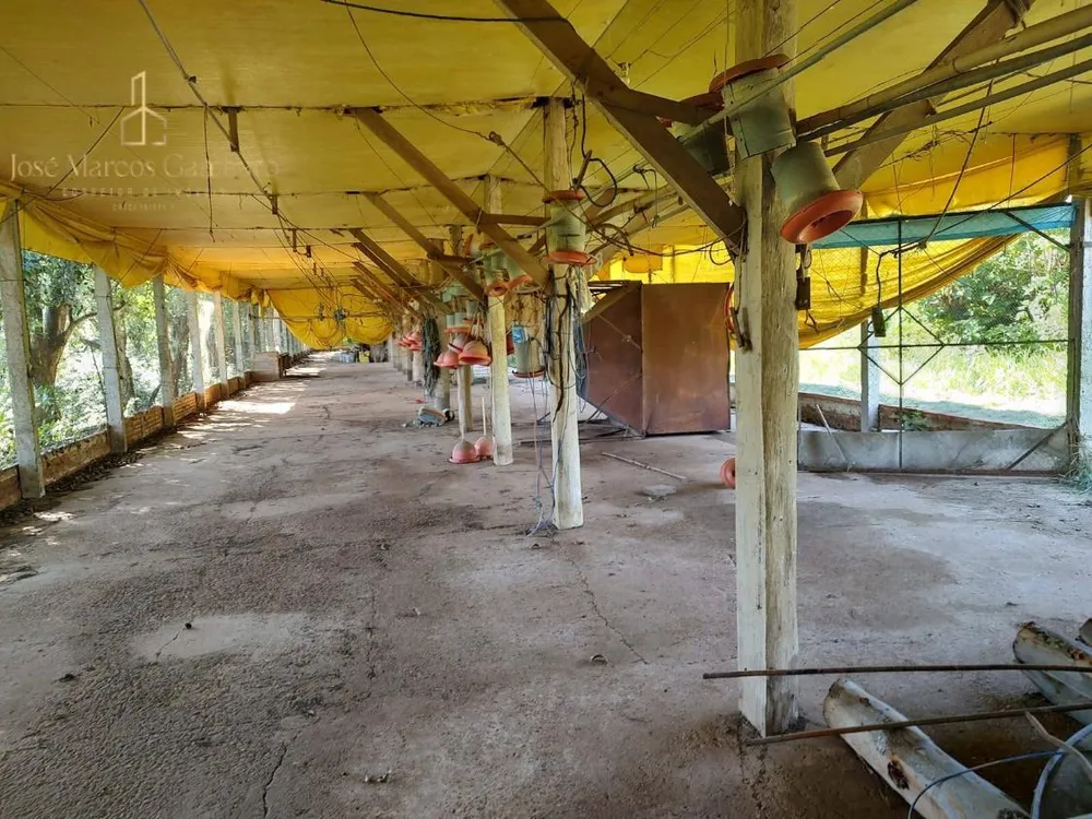 Sítio, 3 quartos, 17 hectares - Foto 2