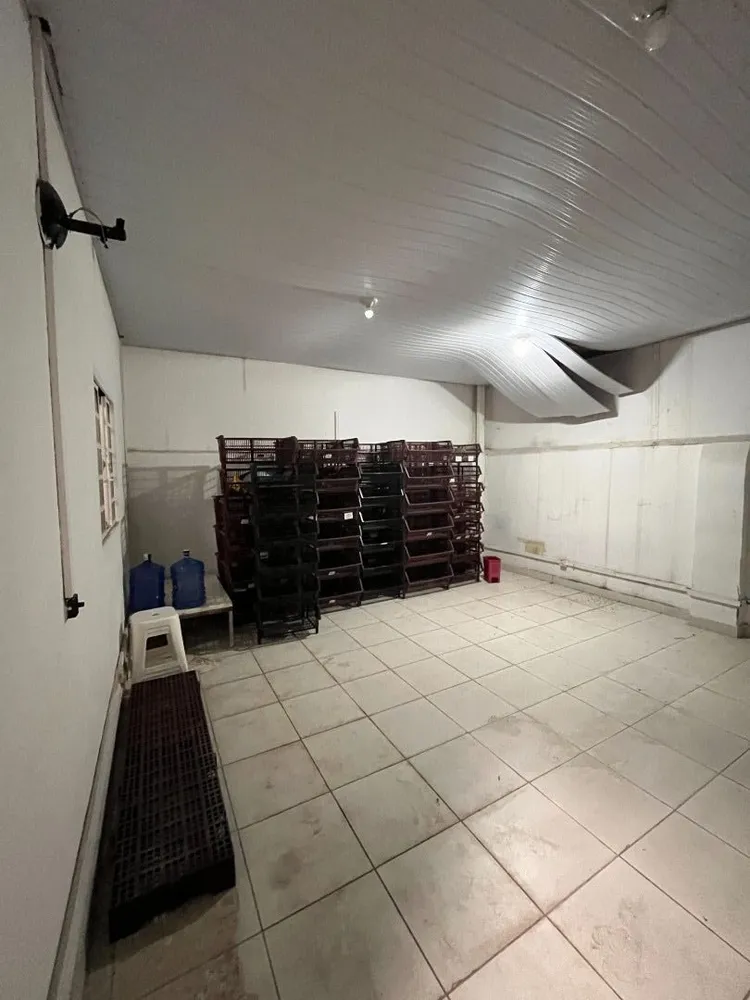 Loja-Salão, 180 m² - Foto 2