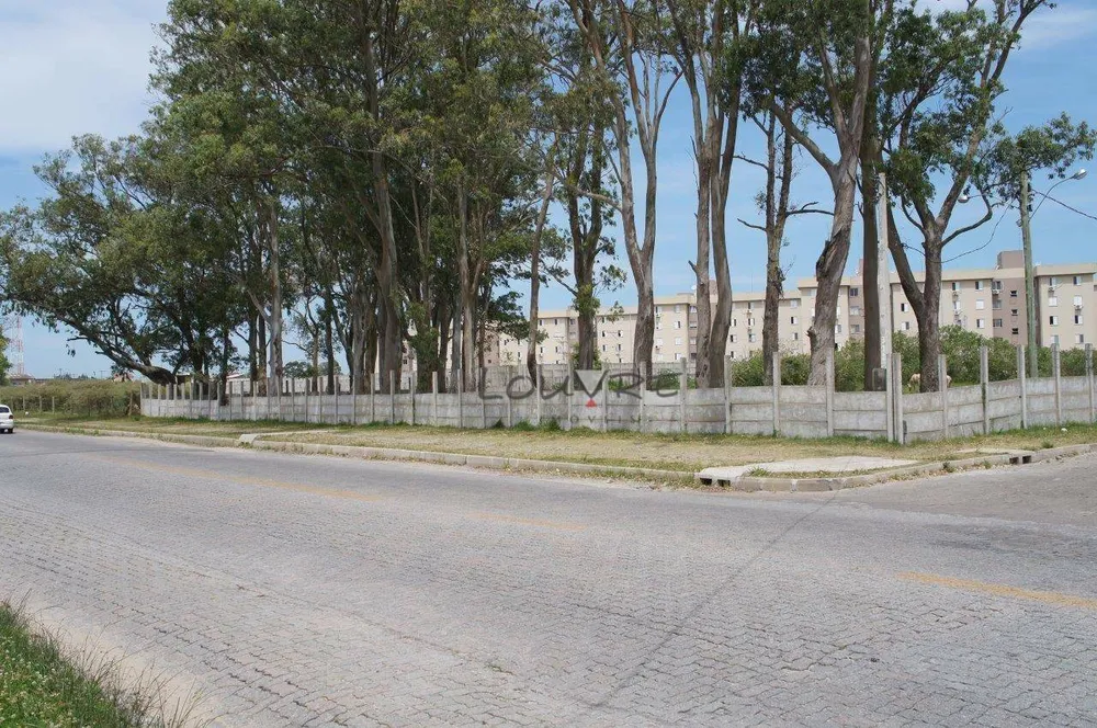 Terreno, 2 hectares - Foto 3