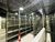 Prédio Inteiro, 800 m² - Foto 7