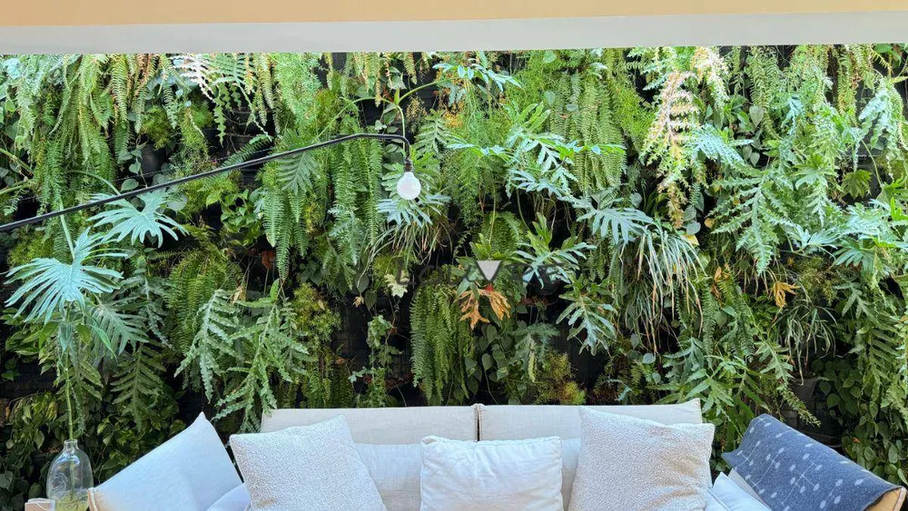 Casa, 2 quartos, 250 m² - Foto 10