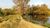 Terreno, 25 hectares - Foto 3