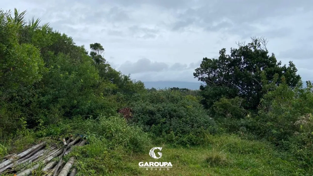 Terreno, 483 m² - Foto 4