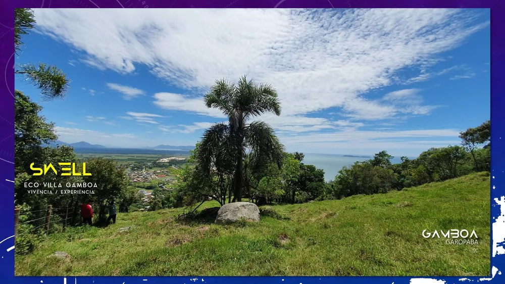 Terreno, 5 hectares - Foto 6