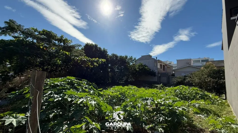 Terreno, 450 m² - Foto 5