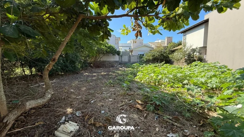 Terreno, 450 m² - Foto 3