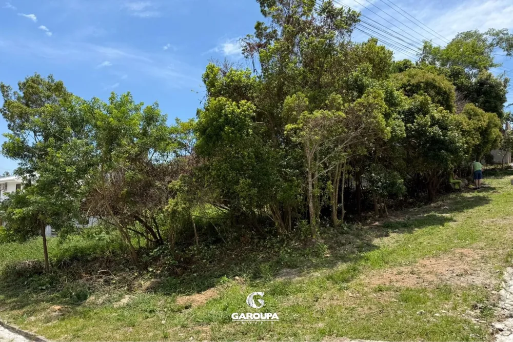 Terreno, 390 m² - Foto 3
