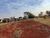 Terreno, 250 m² - Foto 4