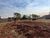 Terreno, 250 m² - Foto 5