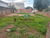 Terreno, 150 m² - Foto 1