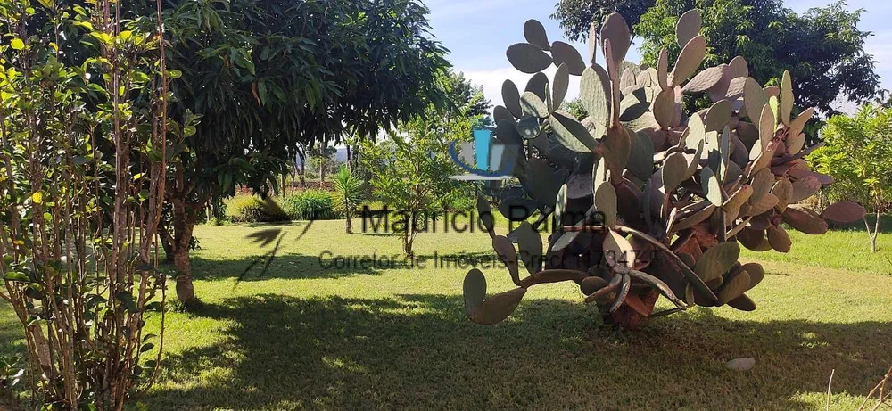 Chácara, 3 quartos, 2990 m² - Foto 14