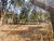 Terreno, 1850 m² - Foto 6