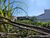 Terreno, 300 m² - Foto 2