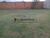 Terreno, 529 m² - Foto 5