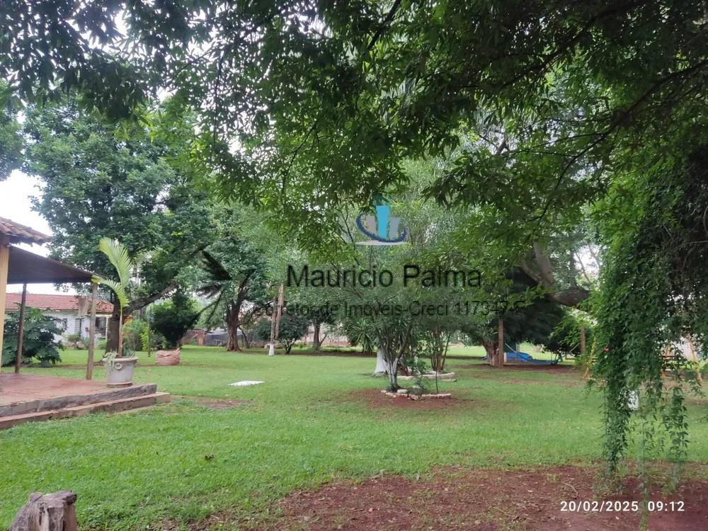 Terreno, 3 hectares - Foto 3