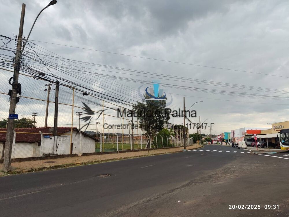 Terreno, 3 hectares - Foto 8