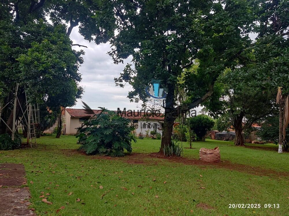 Terreno, 3 hectares - Foto 4