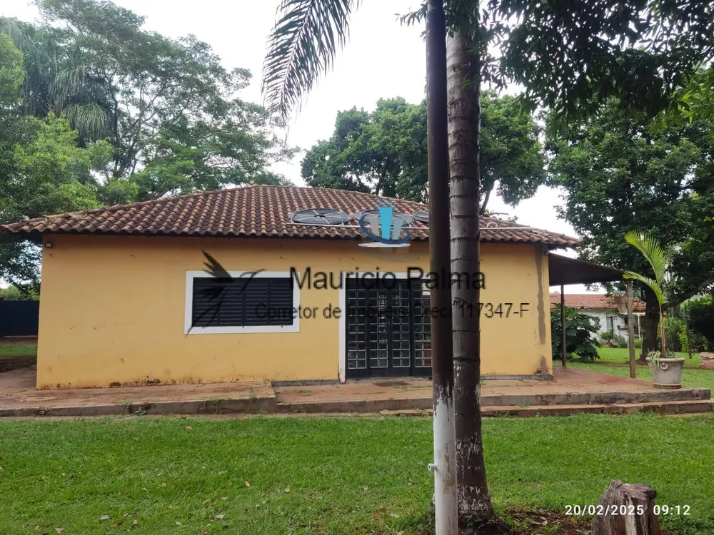 Terreno, 3 hectares - Foto 4