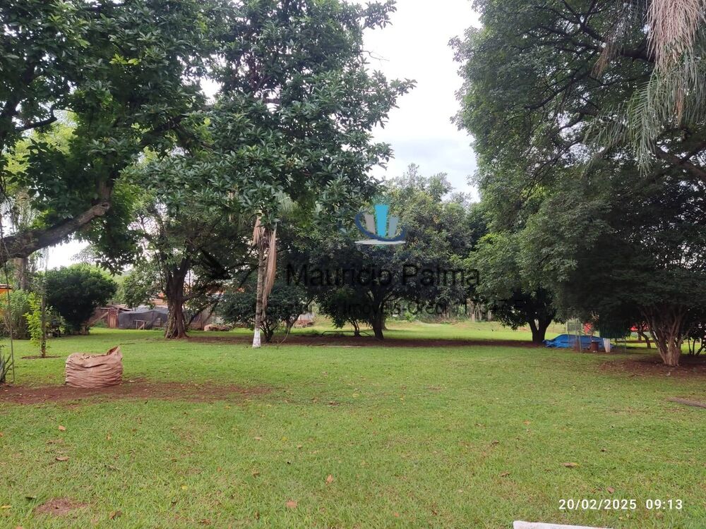 Terreno, 3 hectares - Foto 6