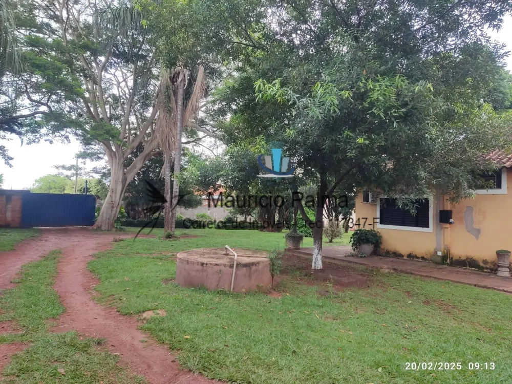 Terreno, 3 hectares - Foto 13