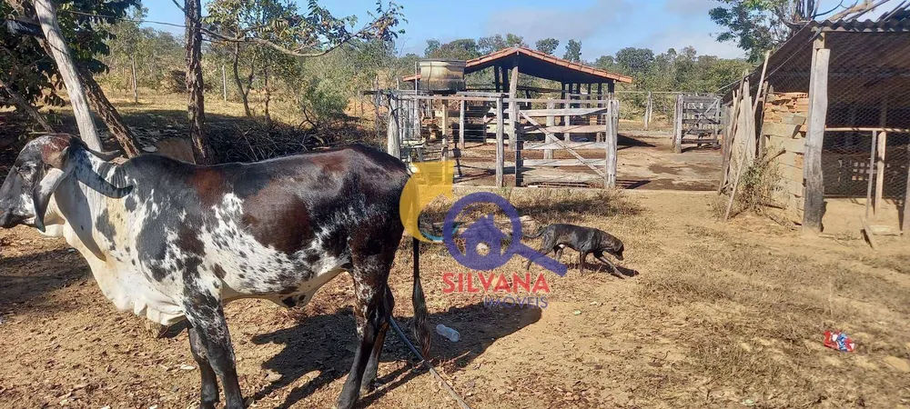 Fazenda, 39 hectares - Foto 10