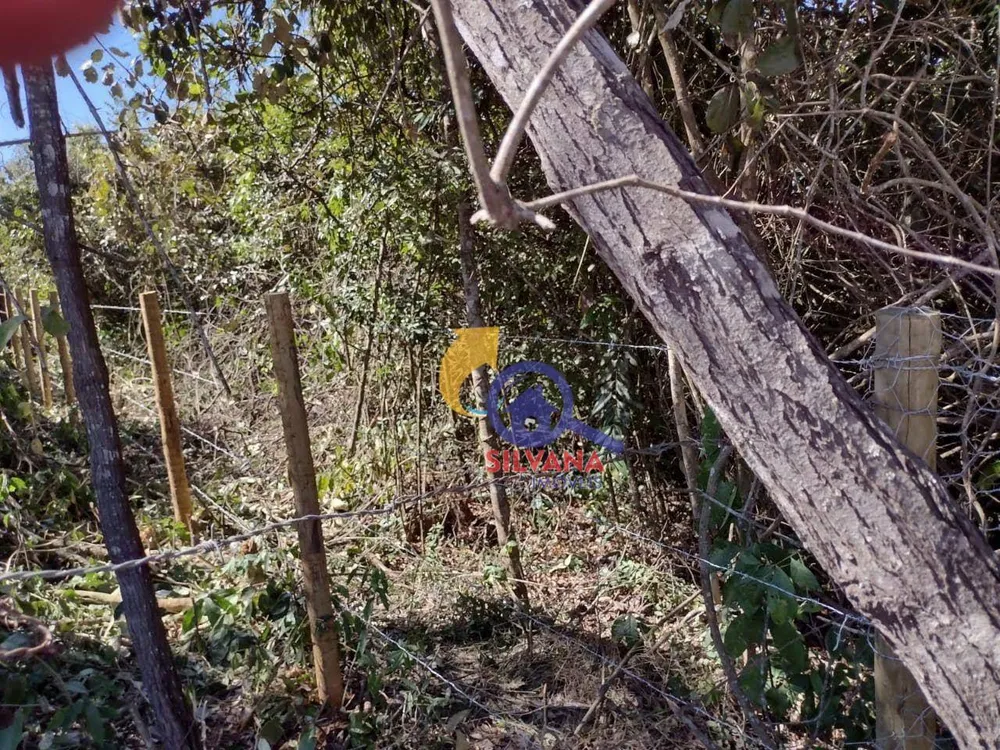 Loteamento e Condomínio, 1000 m² - Foto 6