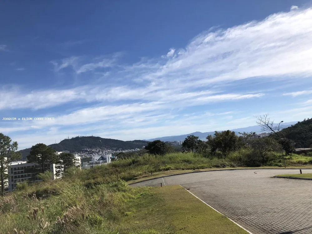 Terreno, 638 m² - Foto 8