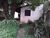 Terreno, 400 m² - Foto 12