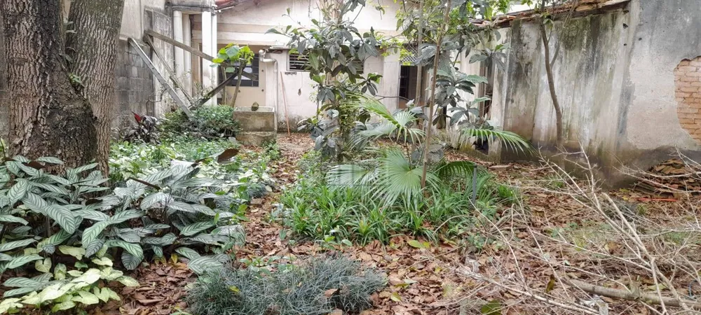 Terreno, 342 m² - Foto 6