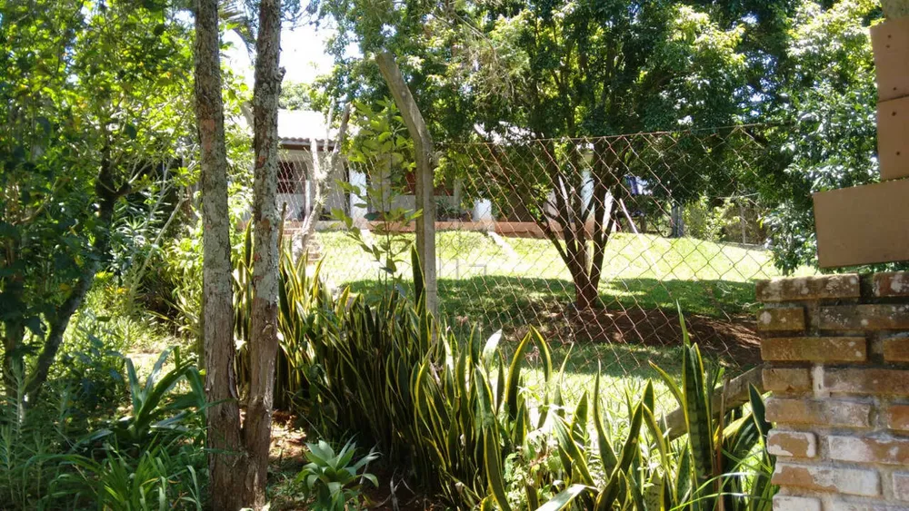 Sítio, 6 quartos, 11 hectares - Foto 7