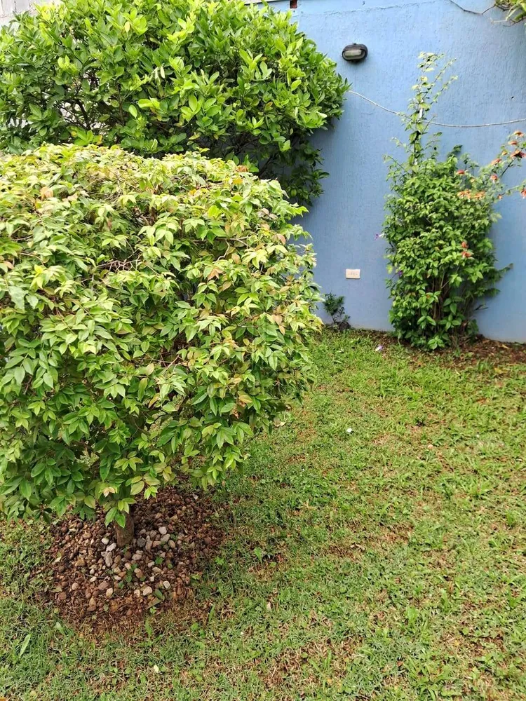 Sobrado, 3 quartos, 172 m² - Foto 3