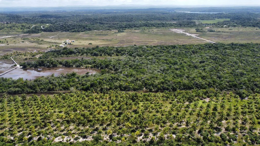 Terreno, 3 hectares - Foto 6