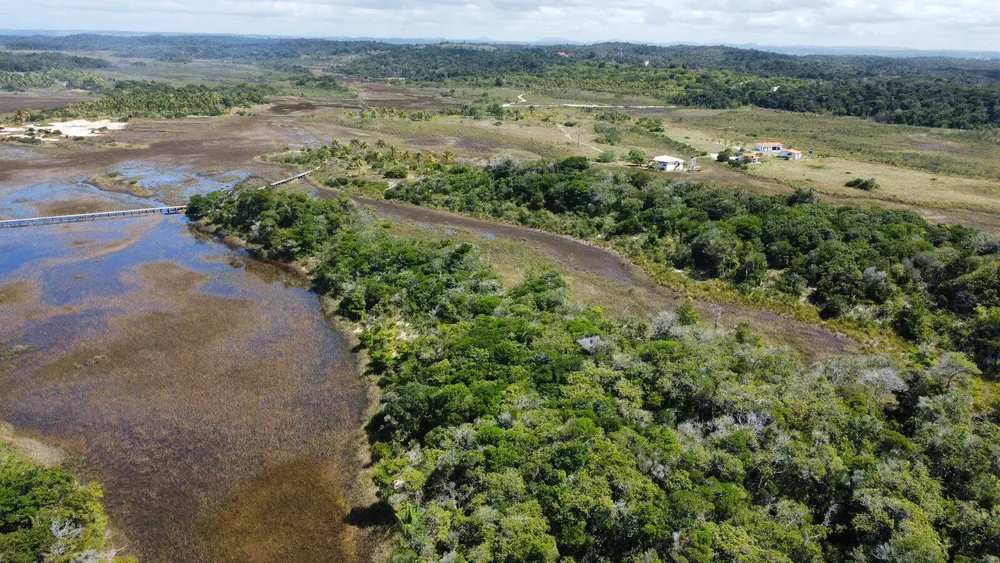Terreno, 3 hectares - Foto 7