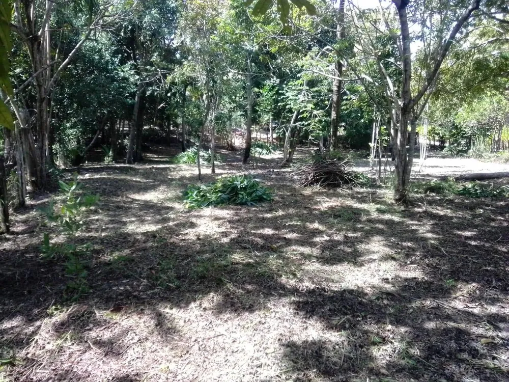Terreno, 2000 m² - Foto 7