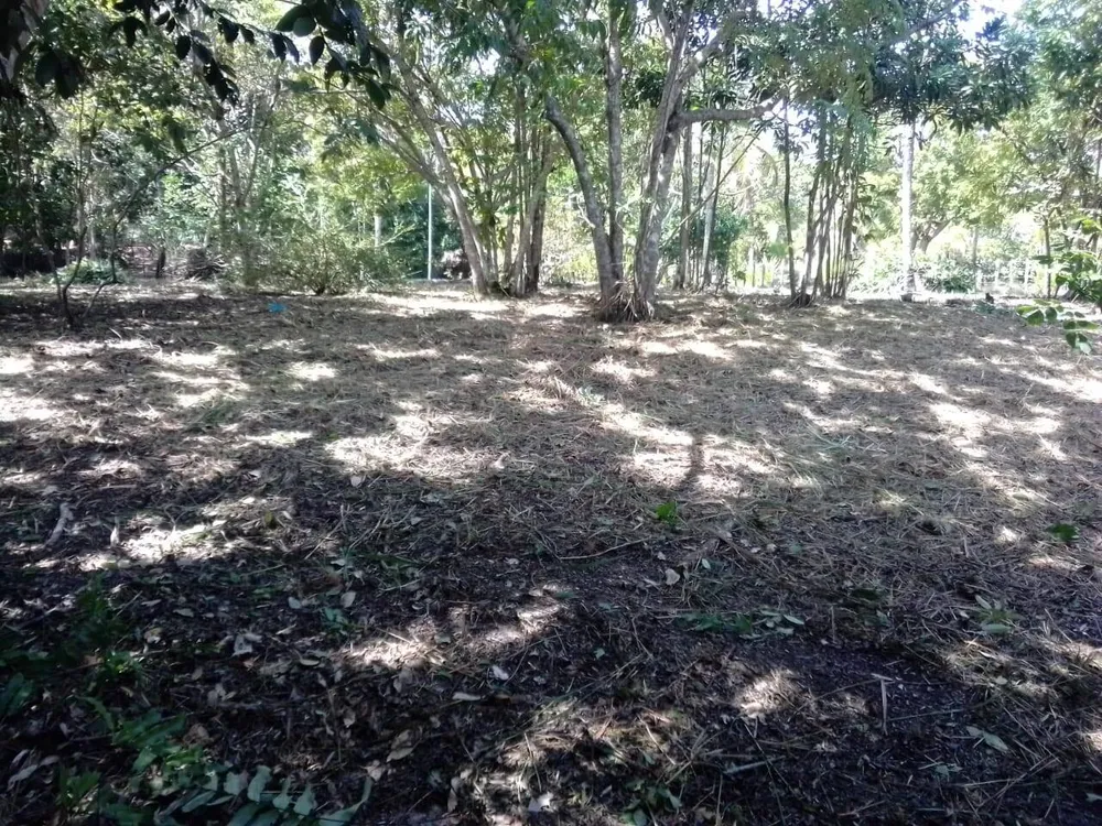 Terreno, 2000 m² - Foto 8