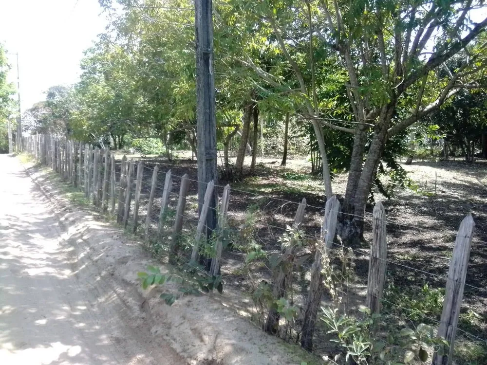 Terreno, 2000 m² - Foto 6