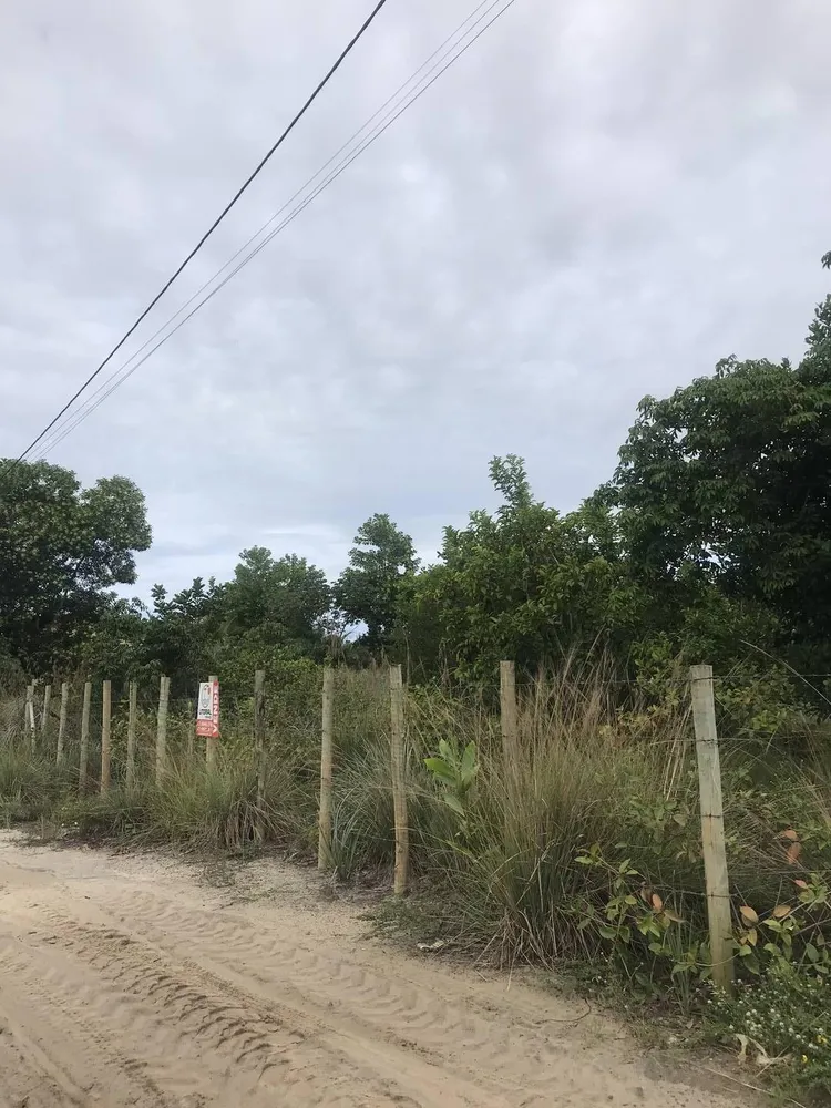 Terreno - Foto 4