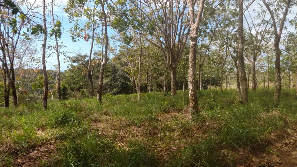 Terreno, 10000 m² - Foto 2