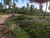 Terreno - Foto 3